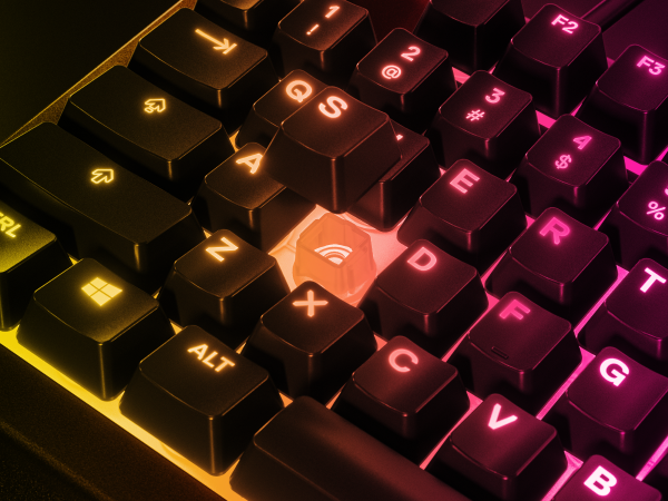 - Apex 3 TKL RGB keyboard