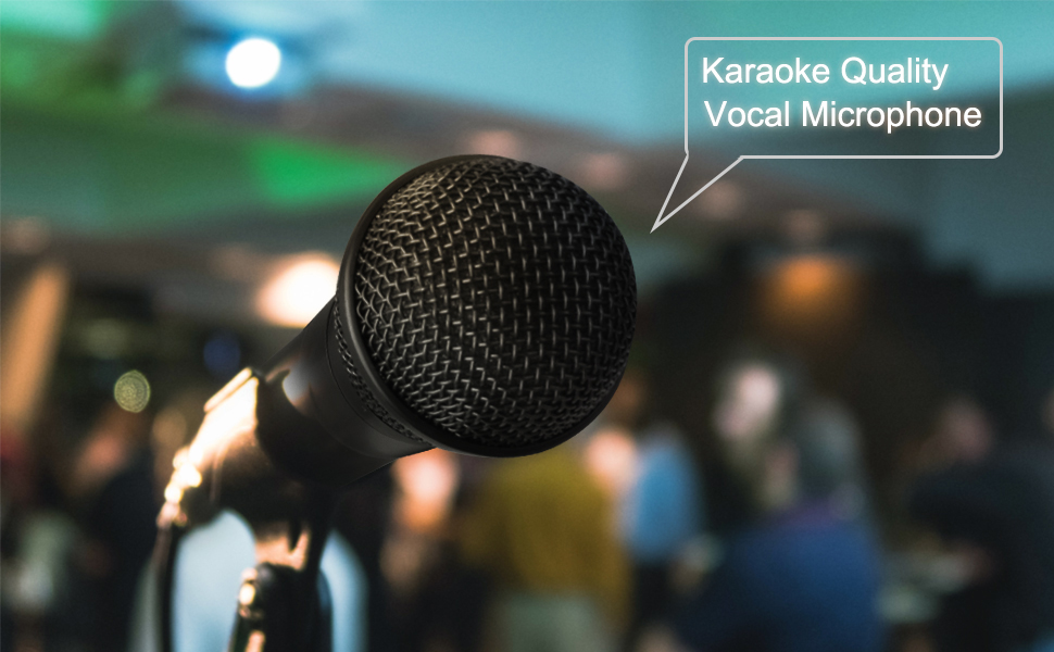 marengo karaoke microphone