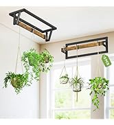 iDavosic.ly Plant Hanger Indoor Set of 2 for Wall &amp; Ceiling, Metal and Wood Hanging Rod with 6 Ho...