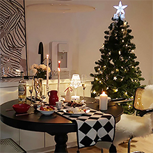 christmas lights plug in