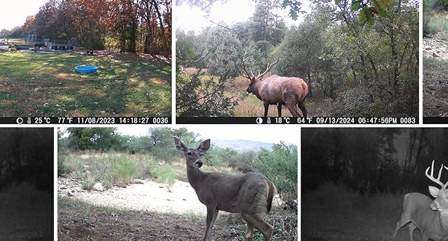 WiFi trail camera