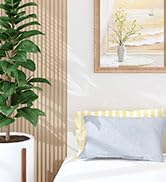 Lutown-Teen 4 Inch Twin Size Bed Frames Heavy Duty Metal Twin Platform Bed Frame No Box Spring Ne...