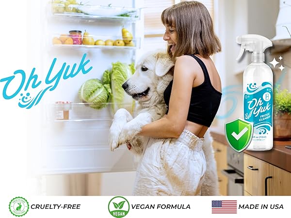 refrigerator fridge cleaner inside