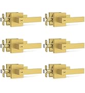 Plustool 6 Pack Brushed Gold Door Handles, Interior Door Knob Heavy Duty, Flat Square Privacy Doo...