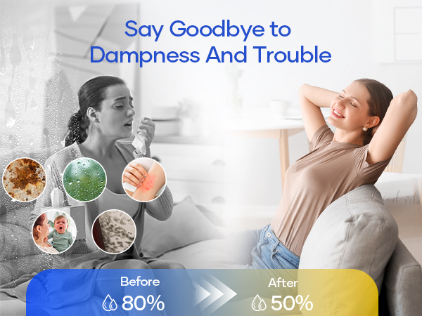 dehumidifier dehumidifiers for home dehumidifier for basement bathroom bedroom rv small dehumifier