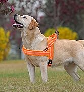 Didog Soft Flannel Padded Dog Vest Harness, No Pull/Quick Fit Reflective Dog Strap Harness, Easy ...