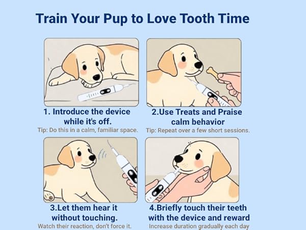 pet teeth care