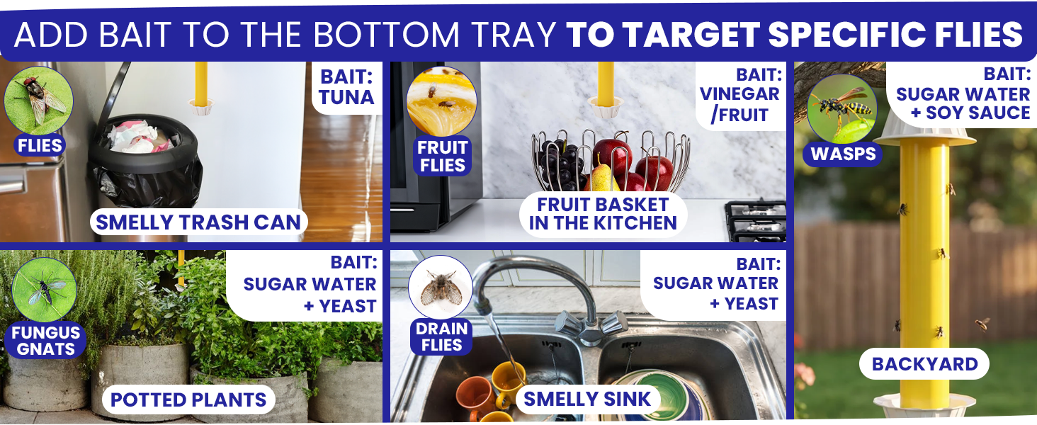 Add bait to bottom tray of the fly catcher indoor to attract specific species of flies