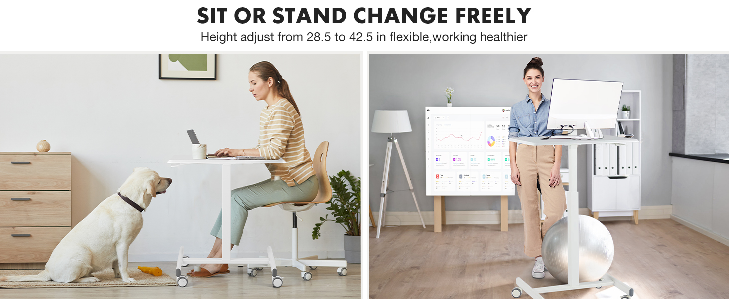 mall Mobile Rolling Standing Desk