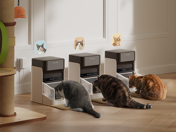 automatic cat feeder