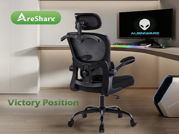 ergonomic desk chair