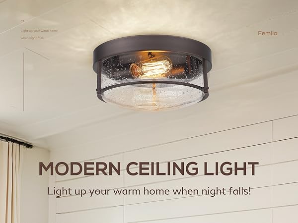 Ceiling Light