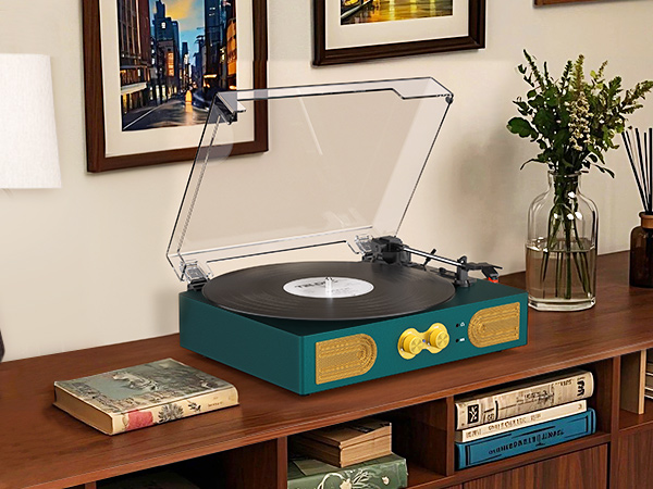 record player turntable