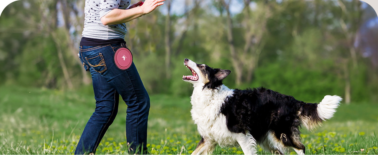 road trip pet accessories for car on the go travel dog water dispenser