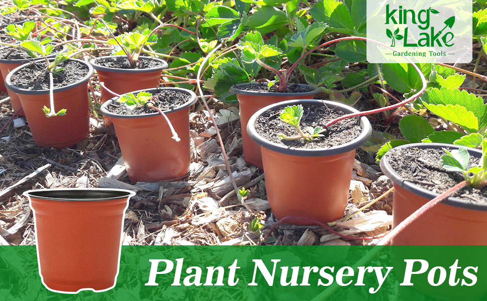Flower Plant Container pots
