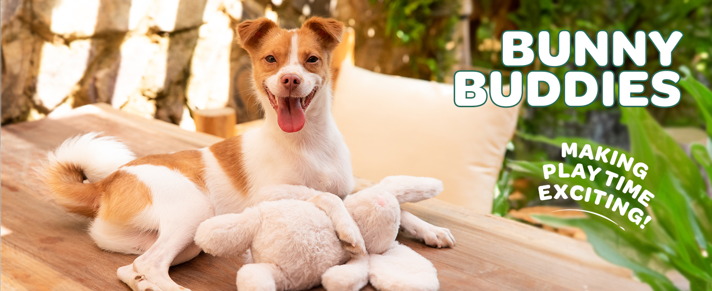 dog toys for chewers
