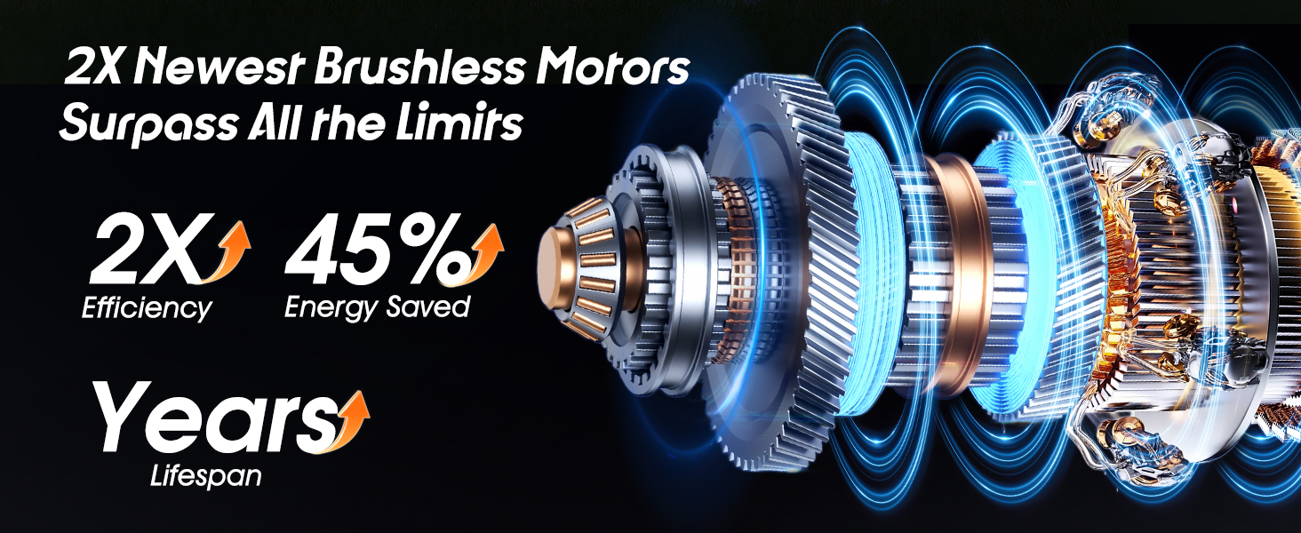 bark collar for medium dogs