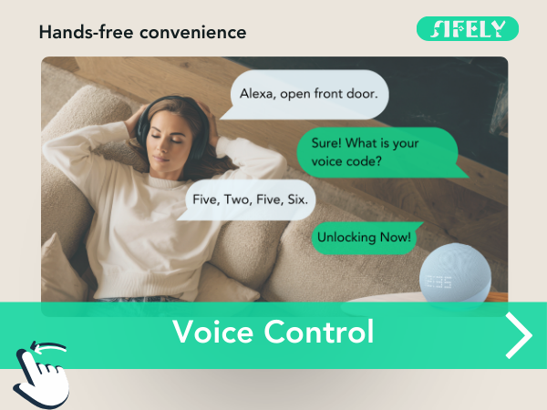 voice control