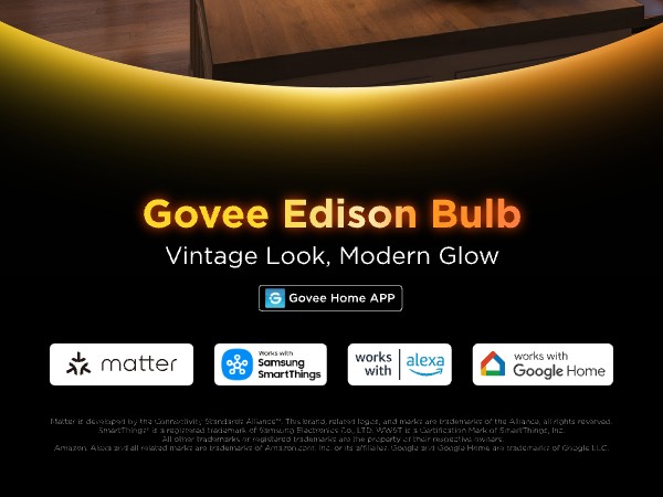 Govee smart edison bulbs ST19