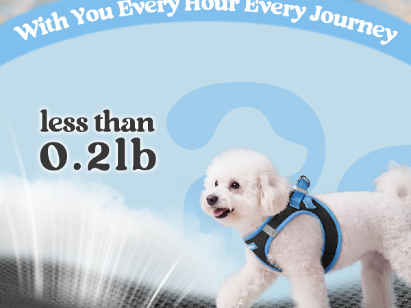  rabbitgoo Dog Harness