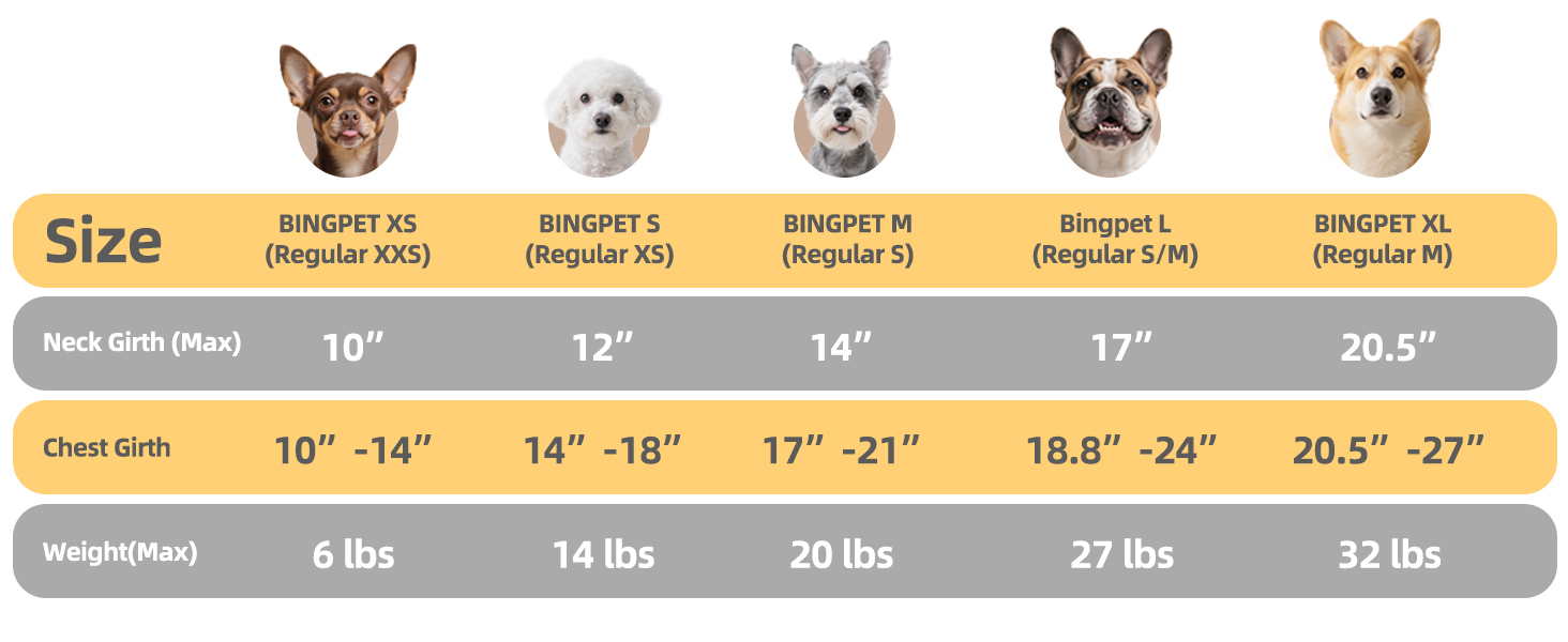 dog harness small size dogs
