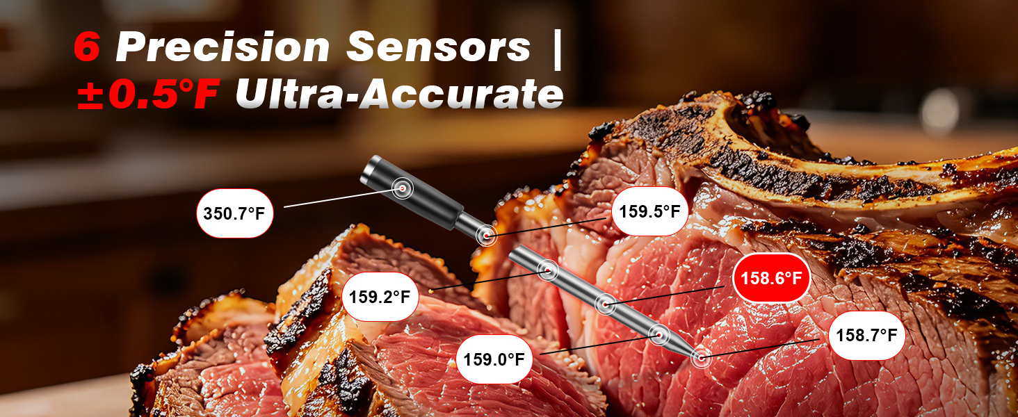 thermometer for cooking