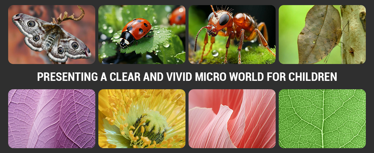 Mini Microscope for Kids