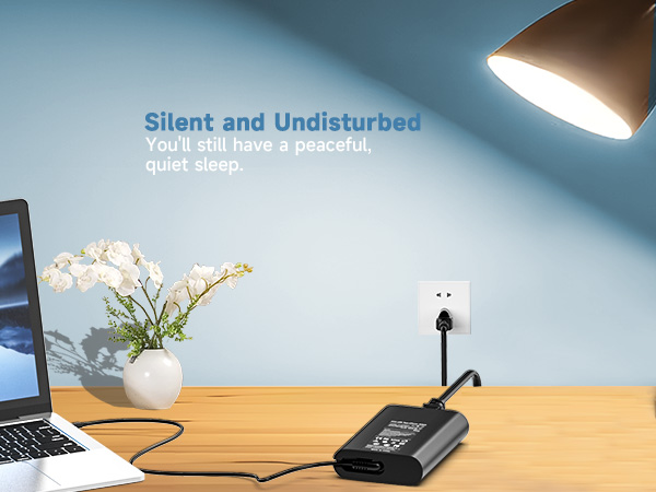 65W USB C Laptop Charger forDell Inspiron 14 16 2-in-1