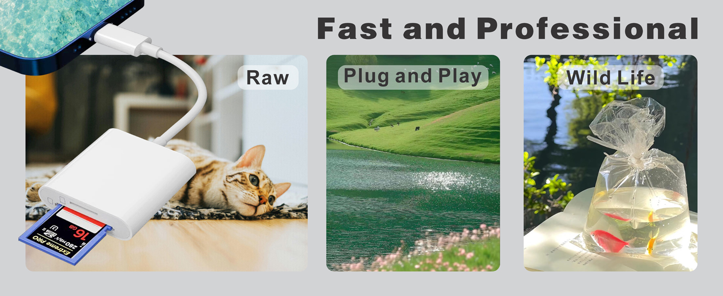 camera memory card reader