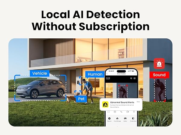Local AI Detection