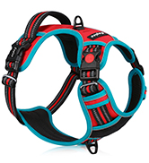3 buckl dog harness