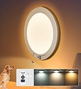 6,000mAh Battery Powered Ceiling Lights