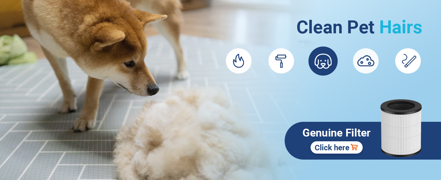 air purifiers for decoration harmful odors