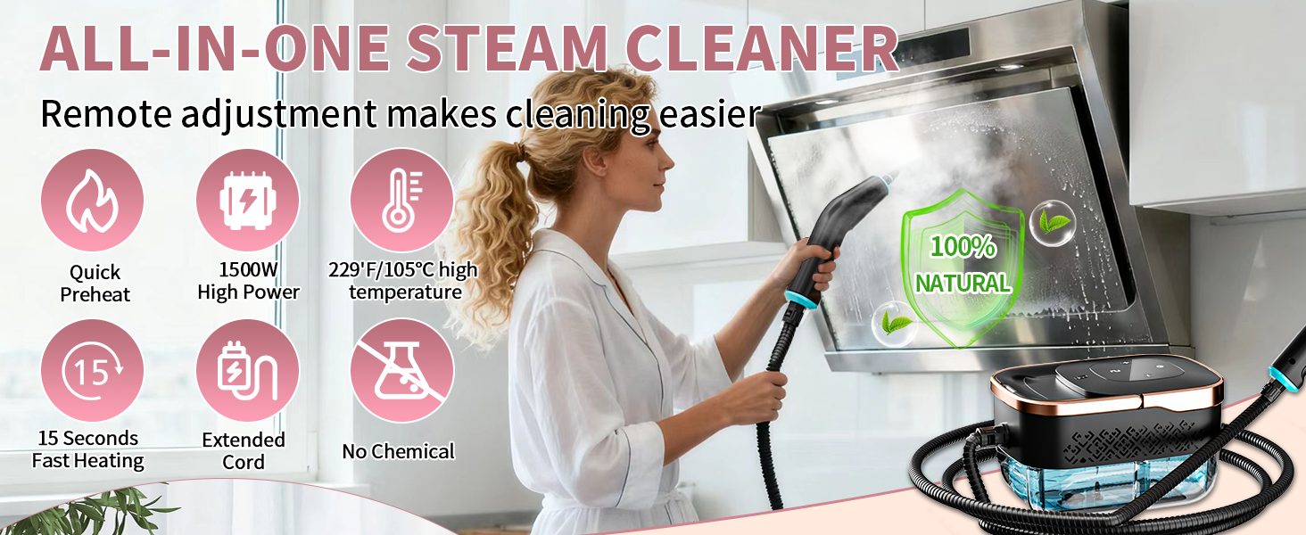 steam cleaner