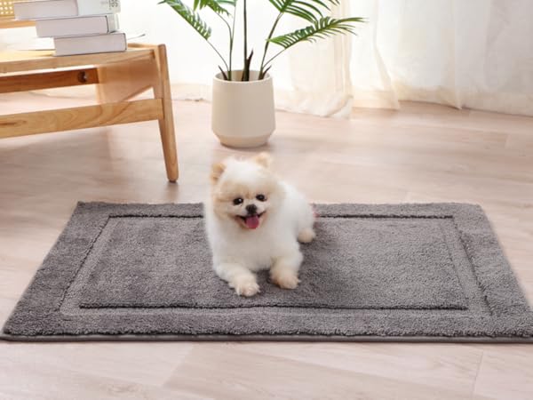 indoor door mats for entryway