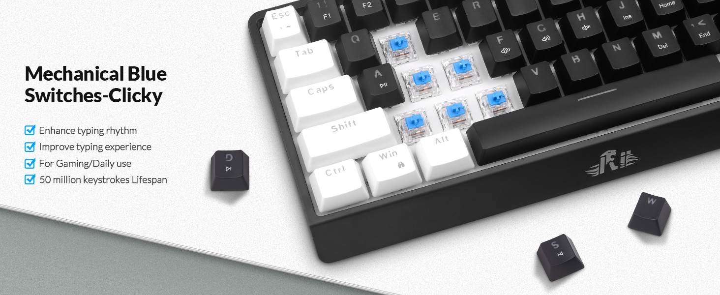 blue switches