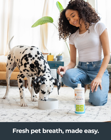 oxyfresh pet water additive fresh pet breath made easy simply add to water freshen pet's breath