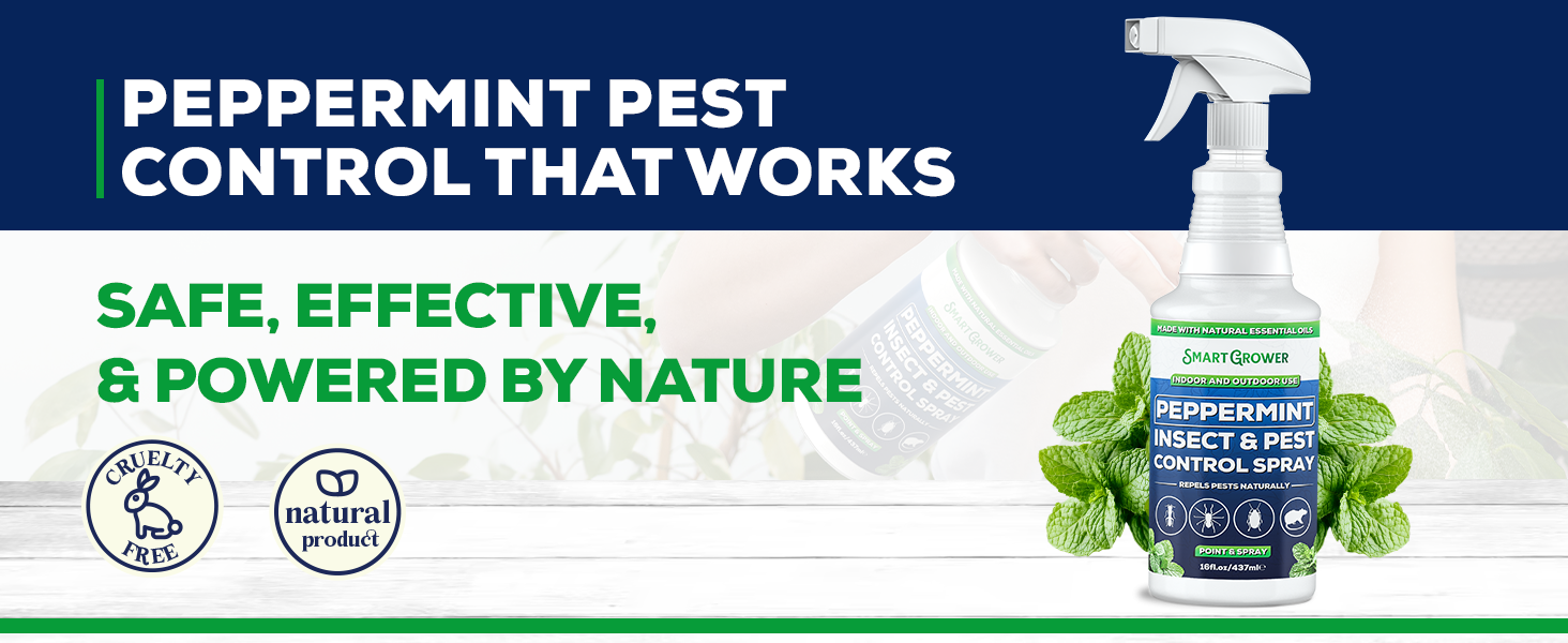 peppermint Insect Spray
