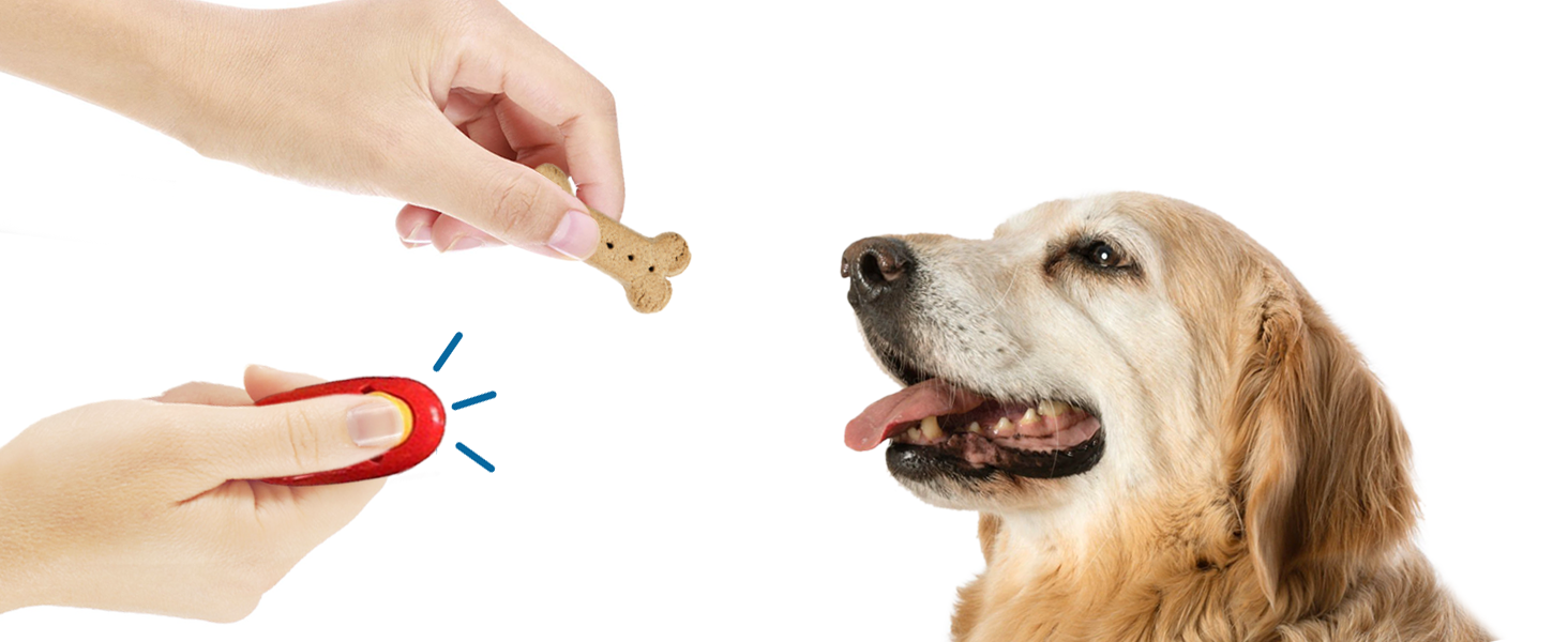 Introduce Clicker