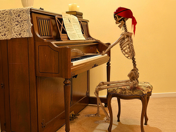 Pirate Life Size Skeleton Full Size Skeleton