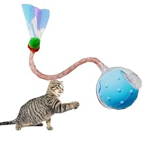 Cat Ball, Cat Toy