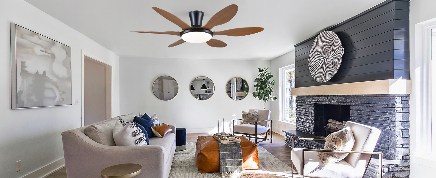 cieling fan