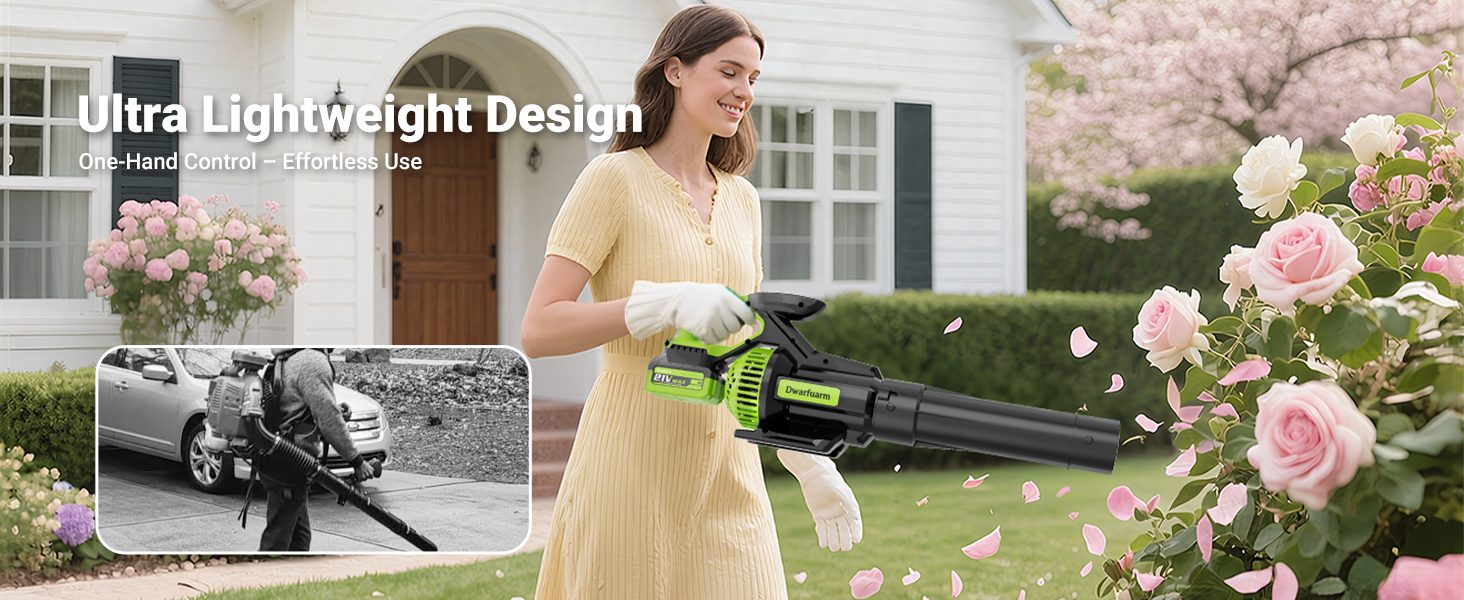 electric leaf blower