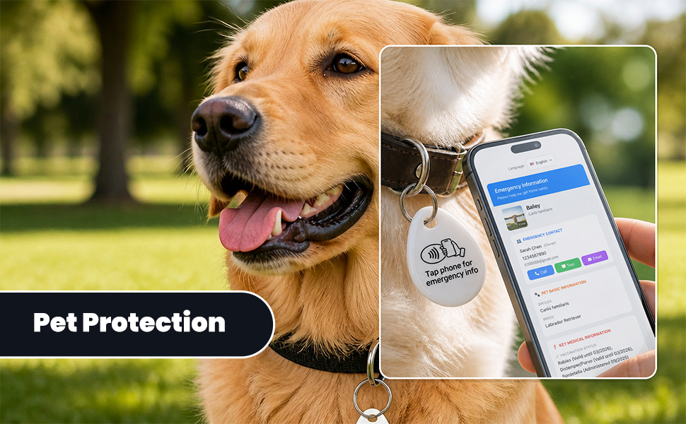 Emergency ID tag