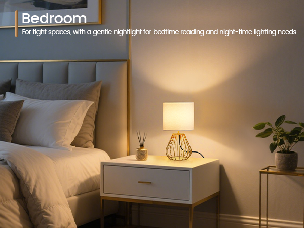 DCW06TL05 Table Lamp