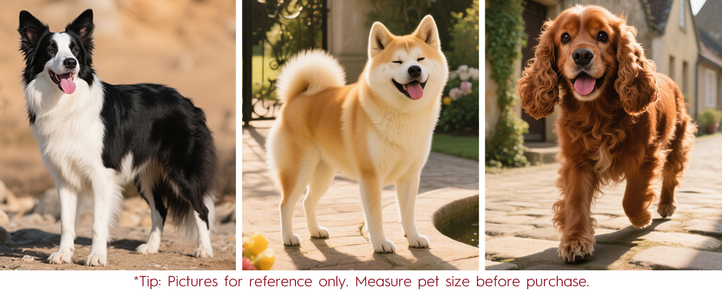 Bruvoalon Dog Harness Comes with Precise Sizing for Medium - Sized Dogs