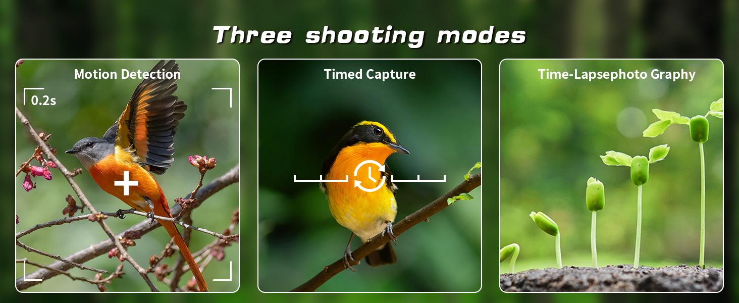 Three shooting modes