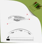 EXAURAFELIS 5pcs Plopper Fishing Lures Topwater Fishing Lures Whopper Floating Lure for Catfish P...