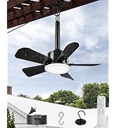 NWOP 20 Inch Plug-In Outdoor Ceiling Fan with Light and Remote, Waterproof Wet Rated Mini Ceiling...