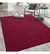 Keeko Soft Area Rugs for Bedroom Living Room, 4x6 Red Indoor Memory Foam Fluffy Rug Modern Machin...